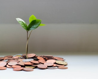 A small plant with green leaves sprouting from a pile of coins, symbolizing growth and investment. The setting is minimalistic, with a neutral background and the focus on the plant and coins.