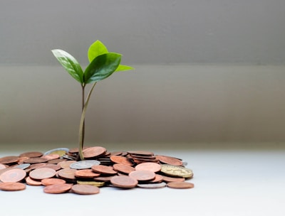 A small plant with green leaves sprouting from a pile of coins, symbolizing growth and investment. The setting is minimalistic, with a neutral background and the focus on the plant and coins.